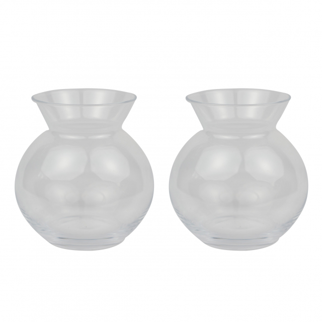 2-pack of glass vases in clear glass