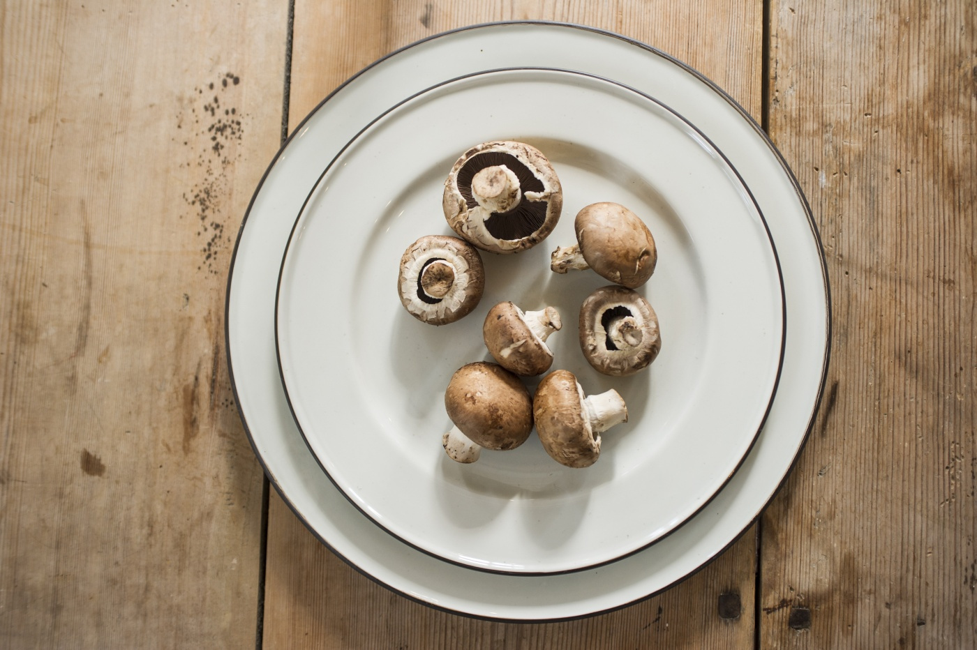 Side plate Ovanåker brown line