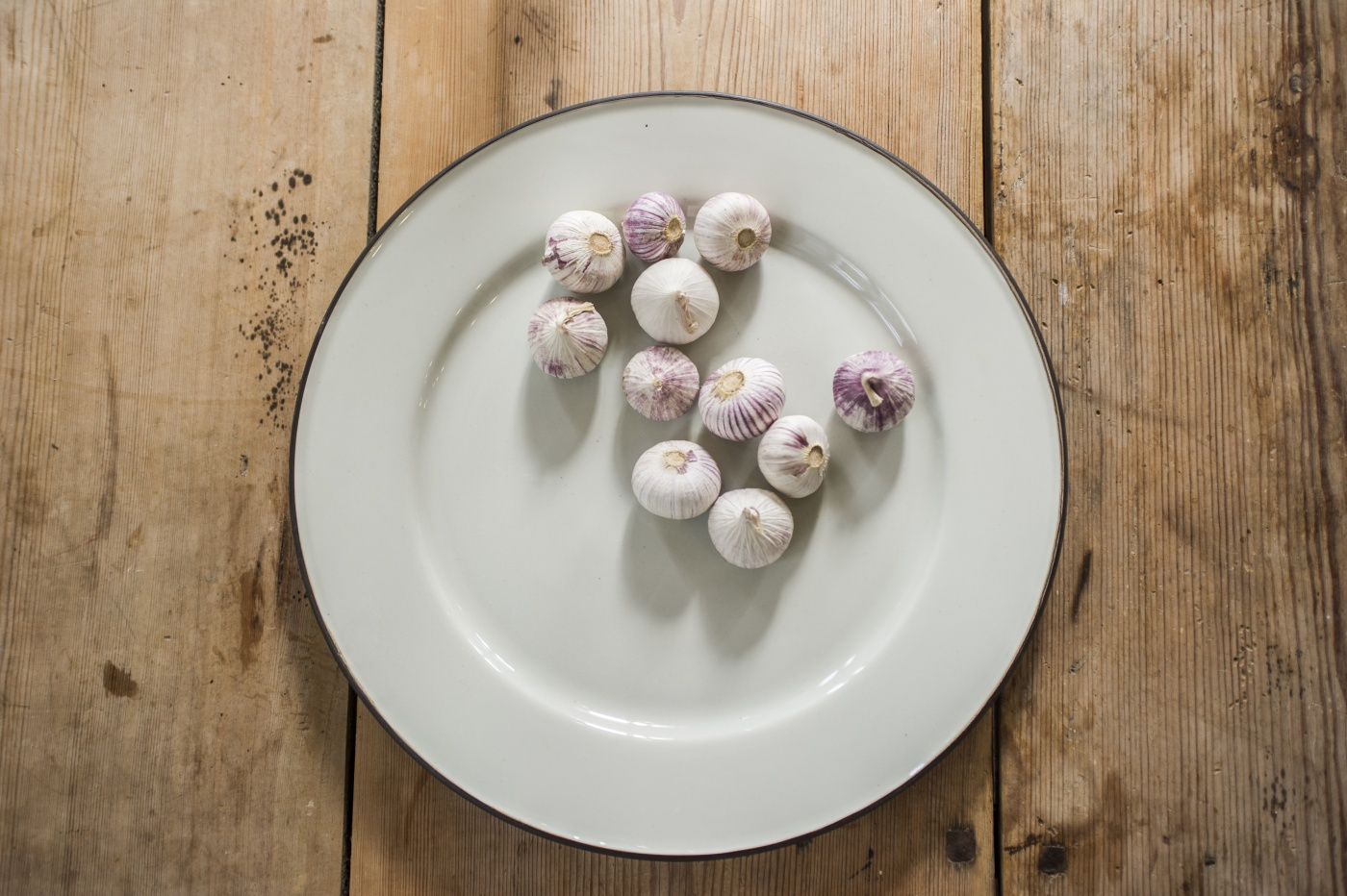 Plate Ovanåker Brown line